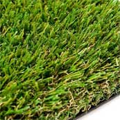 Clumber Grass Top-View