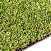 Bestwood Grass