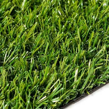 Thoresby Grass